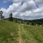 PO AŠD Mladina: pot po Robu - Sinji vrh