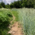 PO AŠD Mladina: pot po Robu - Sinji vrh