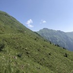 IMG_4146