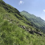 IMG_4151
