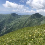 IMG_4205
