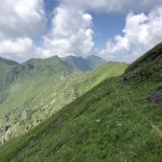 IMG_4207