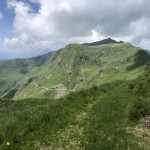 IMG_4215
