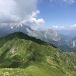 IMG_4221
