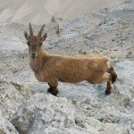 PO SK Devin na očak Triglav