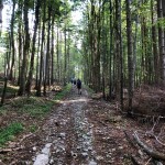 PO AŠD Mladina: krožna pot čez Golake