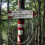 AŠD Mladina: na vrh Crete di Collinetta