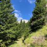 AŠD Mladina: na vrh Crete di Collinetta