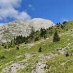 AŠD Mladina: na vrh Crete di Collinetta