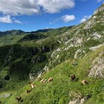 AŠD Mladina: na vrh Crete di Collinetta