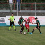 Nogomet italijanski pokal : Kras Repen - Fiume Veneto