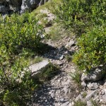 PO AŠD Mladina: na vrh Cima Laste’