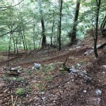 PO AŠD Mladina: na vrh Cima Laste’