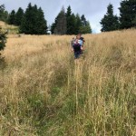 Planinci AŠD Mladina na Crete di Chiampizzulon