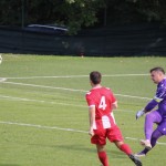 Nogomet Elitna liga : Kras Repen - Lavarian