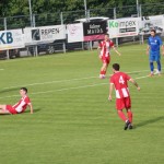 Nogomet Elitna liga : Kras Repen - Lavarian