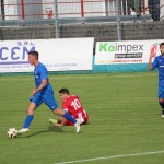Nogomet Elitna liga : Kras Repen - Lavarian