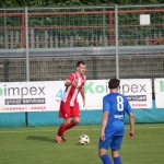 Nogomet Elitna liga : Kras Repen - Lavarian