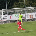 Nogomet Elitna liga : Kras Repen - Lavarian