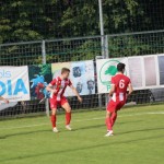 Nogomet Elitna liga : Kras Repen - Lavarian
