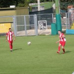 Nogomet Elitna liga : Kras Repen - Lavarian