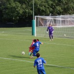 Nogomet Elitna liga : Kras Repen - Lavarian