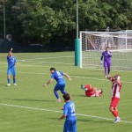 Nogomet Elitna liga : Kras Repen - Lavarian