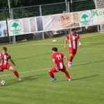 Nogomet Elitna liga : Kras Repen - Lavarian