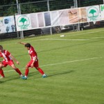 Nogomet Elitna liga : Kras Repen - Lavarian