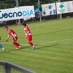 Nogomet Elitna liga : Kras Repen - Lavarian