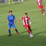 Nogomet Elitna liga : Kras Repen - Lavarian