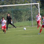 Nogomet Pokal 2.AL : Primorje 1924 - Primorec