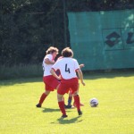 Nogomet 3.AL : Primorec - Mladost