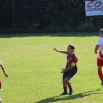 Nogomet 3.AL : Primorec - Mladost