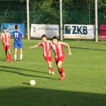 Pokali s tekme Sovodnje - Cormonese