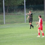 Pokali s tekme Sovodnje - Cormonese