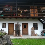 PO SK Devin: izlet v Sauris di Sopra