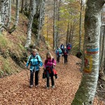 PO SK Devin: izlet v Sauris di Sopra