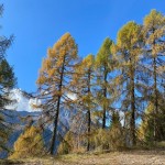 PO SK Devin: izlet v Sauris di Sopra