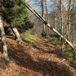 PO SK Devin: izlet v Sauris di Sopra