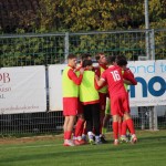 Nogomet Elitna l. : Kras - Progorizia