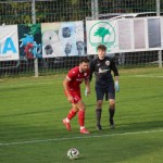 Nogomet Elitna l. : Kras - Progorizia