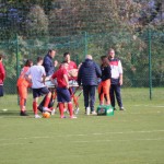 Nogomet 3. AL : Primorje - Primorec