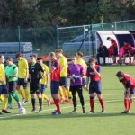 Nogomet 3. AL : Primorje - Primorec