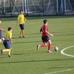 Nogomet 3. AL : Primorje - Primorec