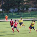 Nogomet 3. AL : Primorje - Primorec