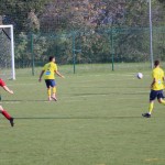 Nogomet 3. AL : Primorje - Primorec