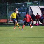 Nogomet 3. AL : Primorje - Primorec