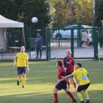 Nogomet 3. AL : Primorje - Primorec