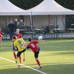 Nogomet 3. AL : Primorje - Primorec